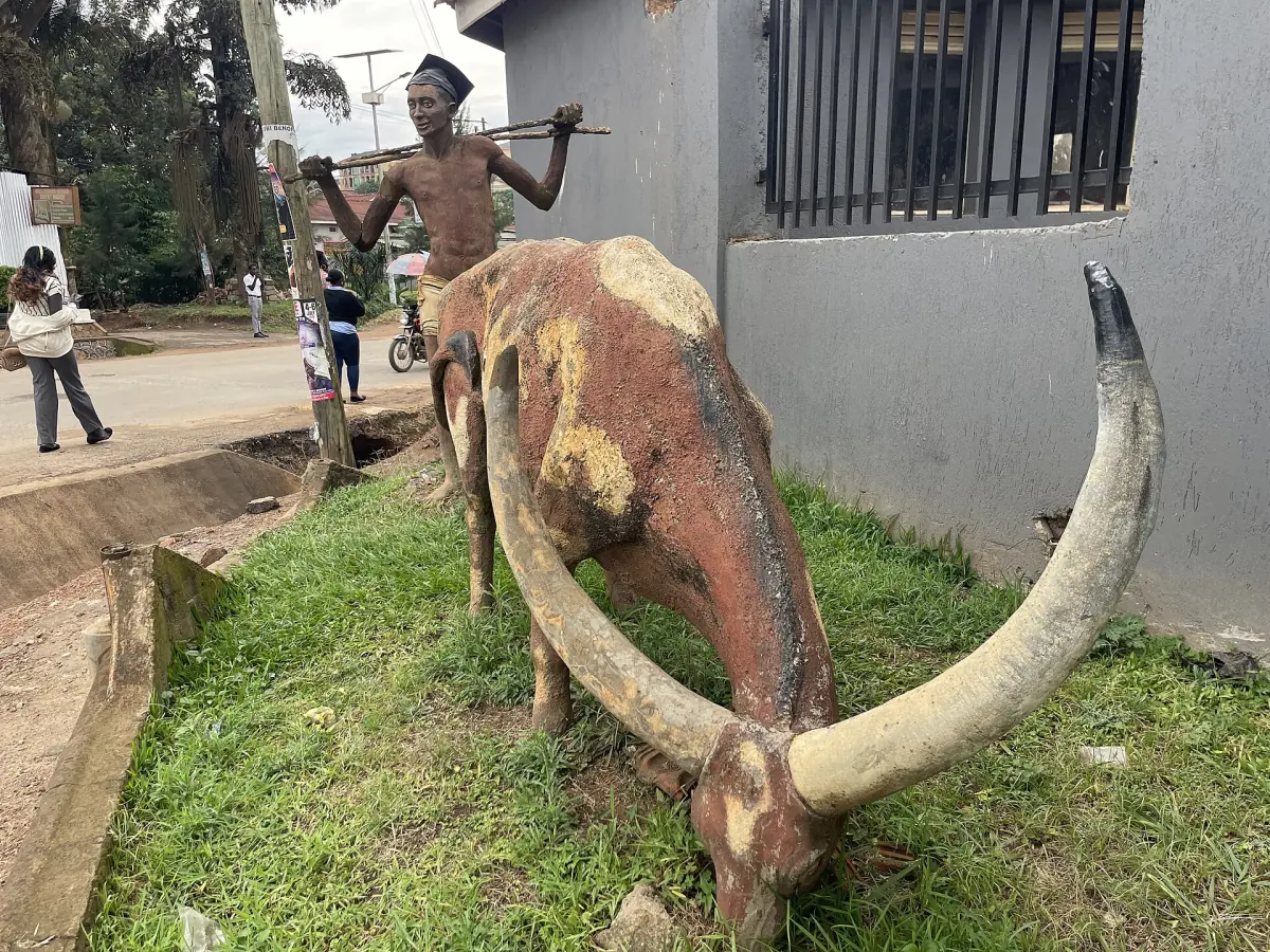 Beeld van een Ankole-koe met lange hoorns op een grasberm