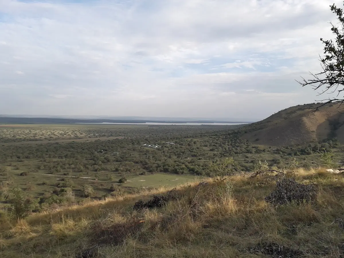 View from a hill over dry grassland plains toward the lake