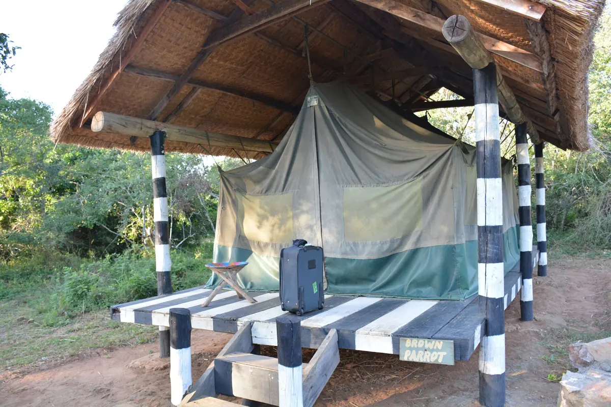 Safari tent on a striped platform under a thatched roof